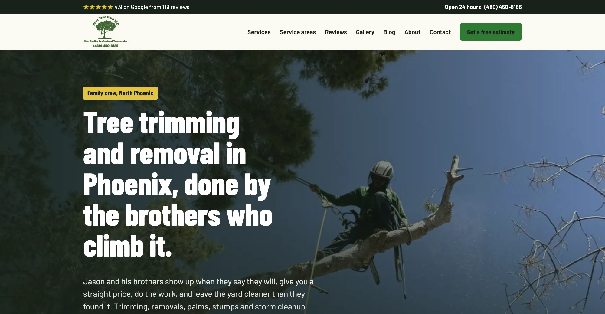 Bros Tree Care website on desktop